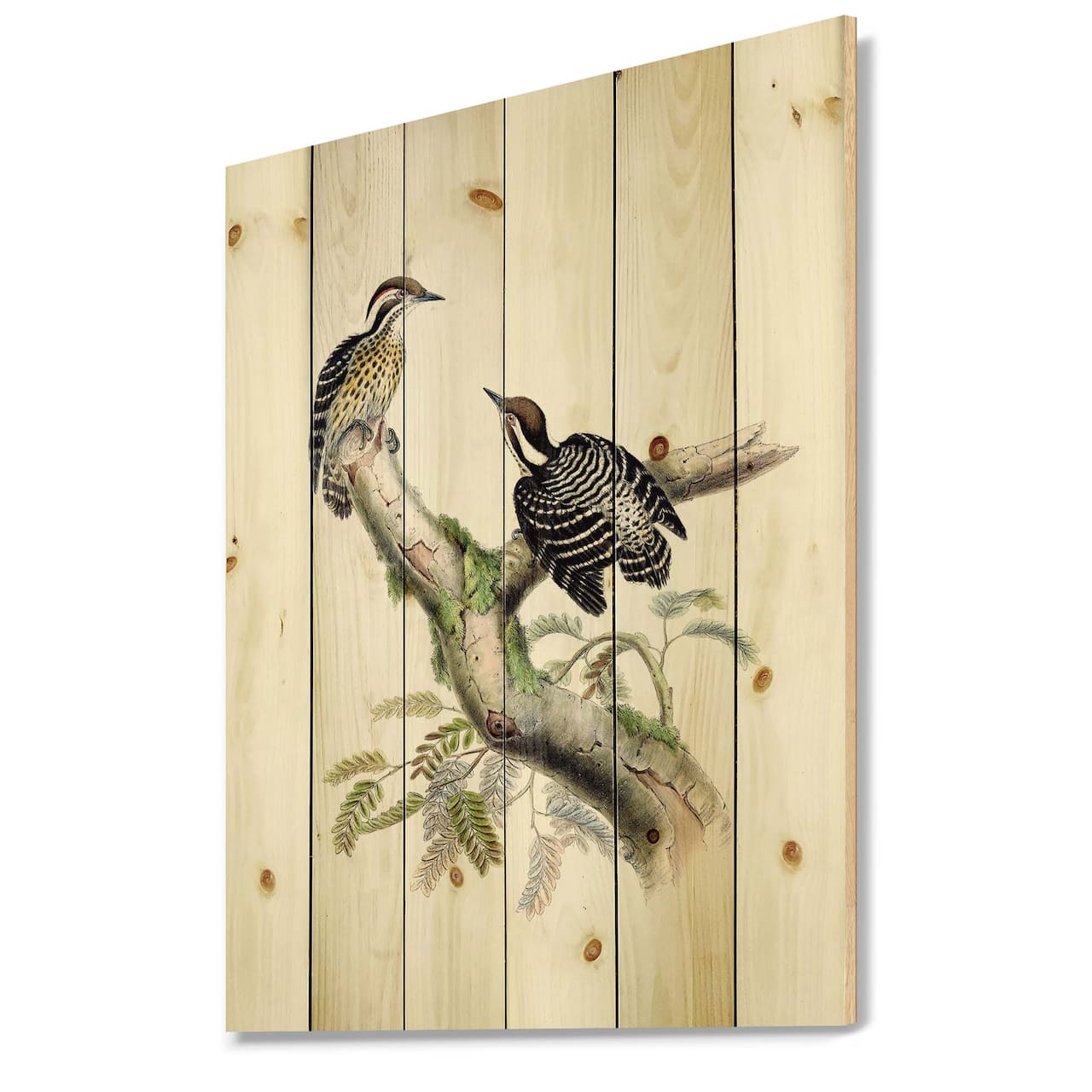 Designart - Vintage Birds In The Wild VIII - Traditional Print on Natural Pine Wood